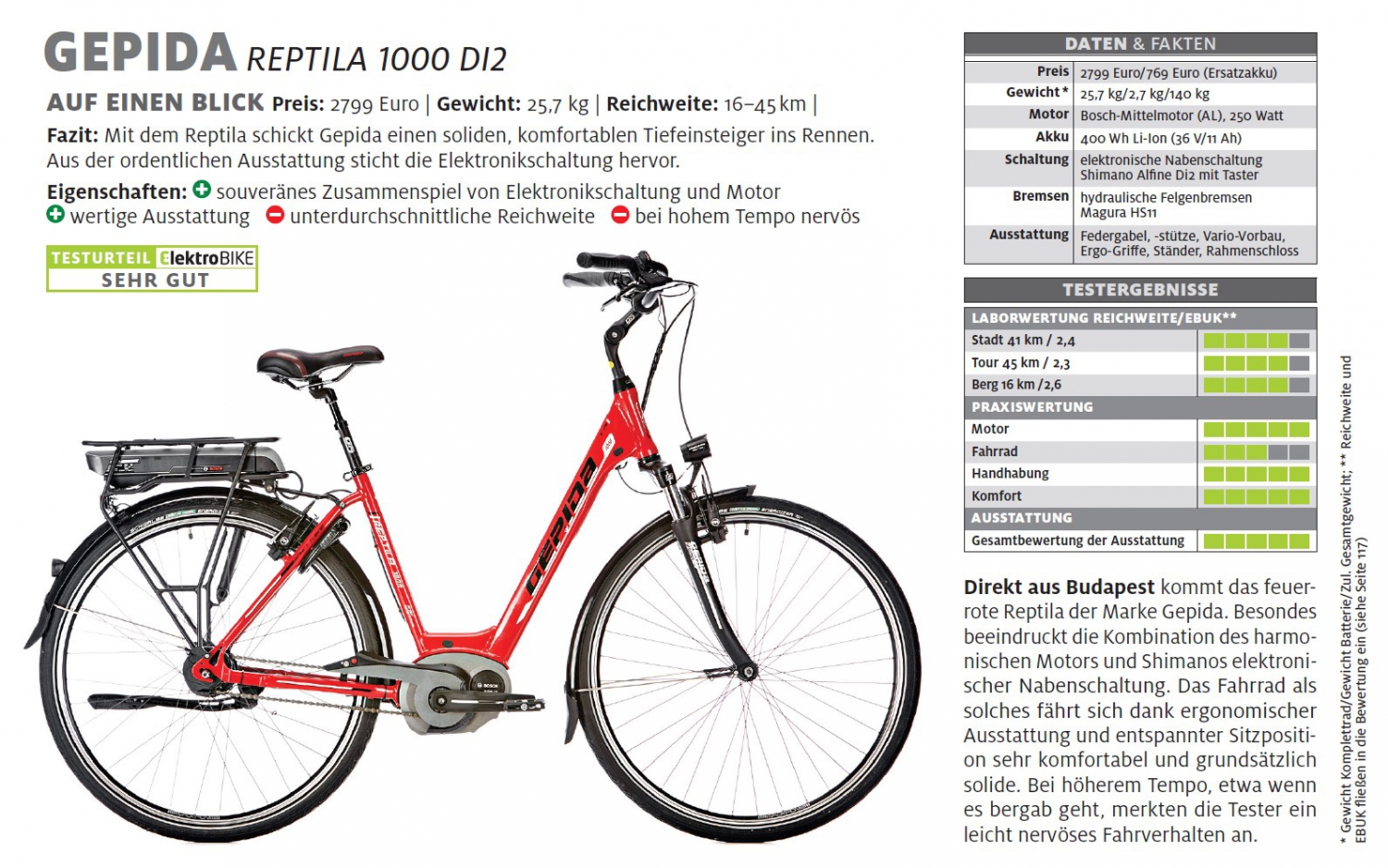 ElektrobikeReptila_2
