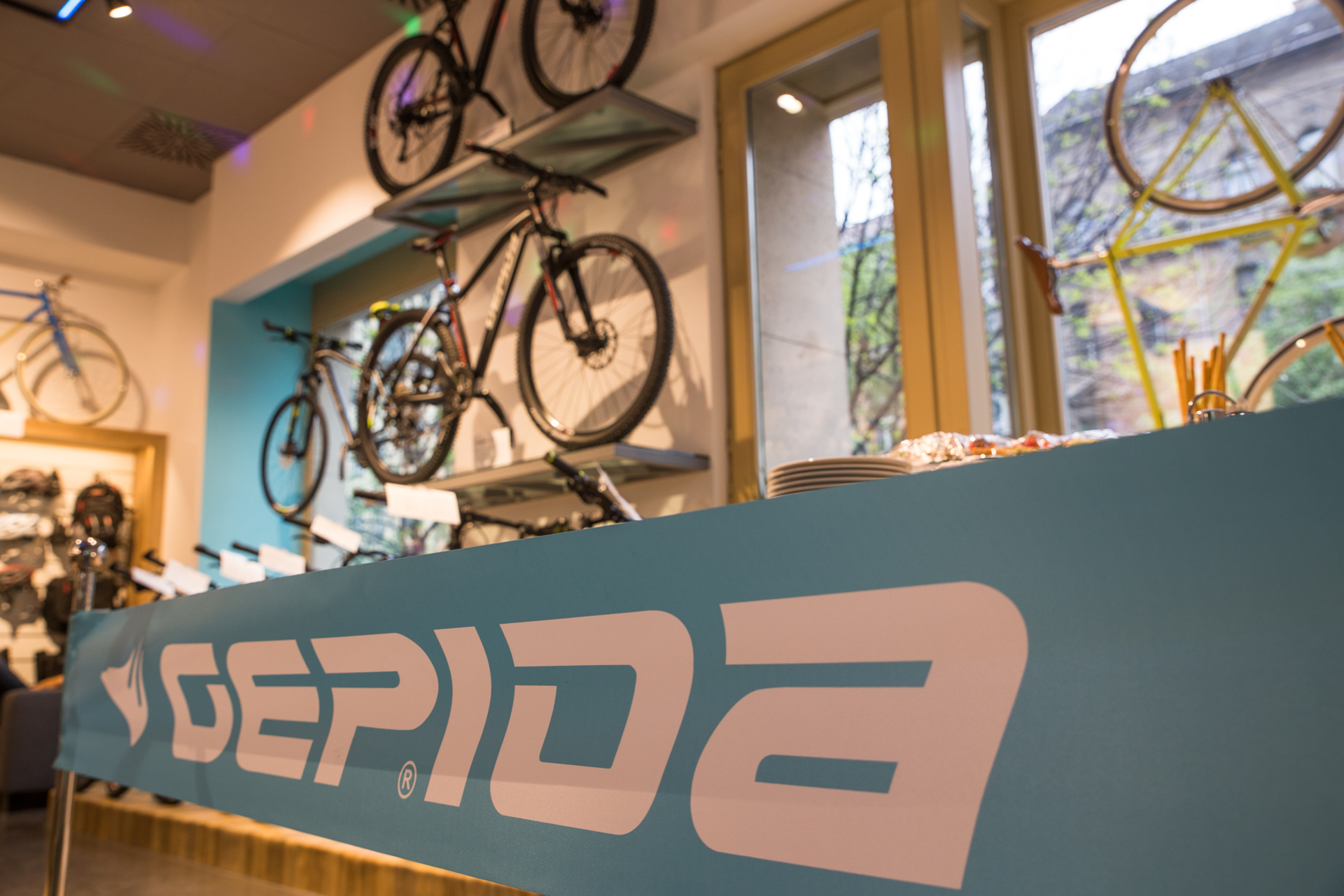 gepida licensz