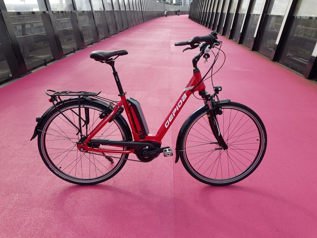 Gepida Reptilla 1000